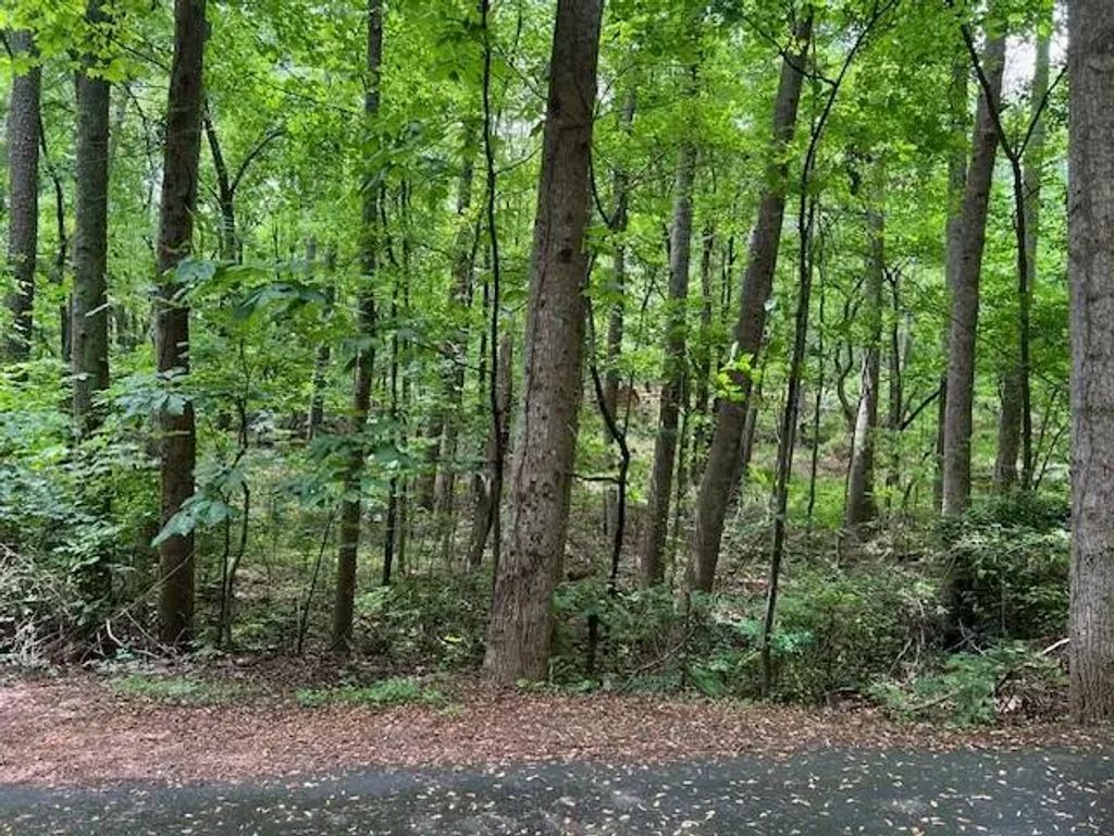 Noonday Church Road, Marietta