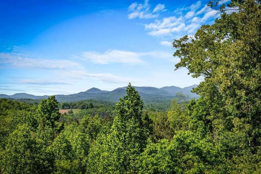 479 Big Timber Road, Mineral Bluff
