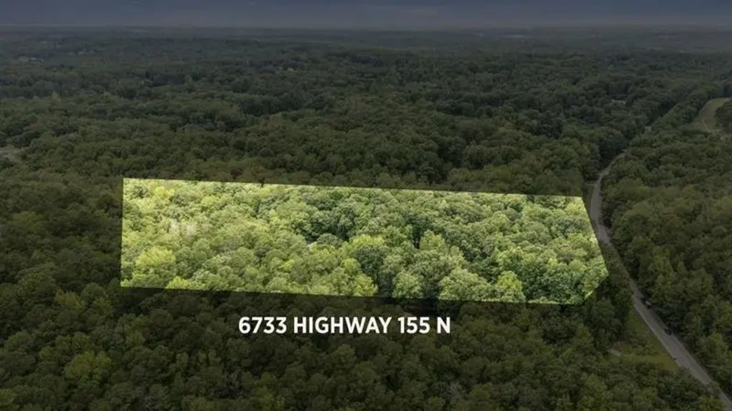 6733 Highway 155 N, Stockbridge