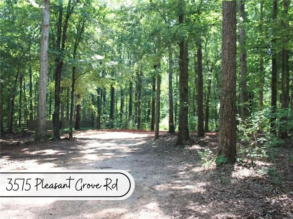 3575 Pleasant Grove Road, Cumming
