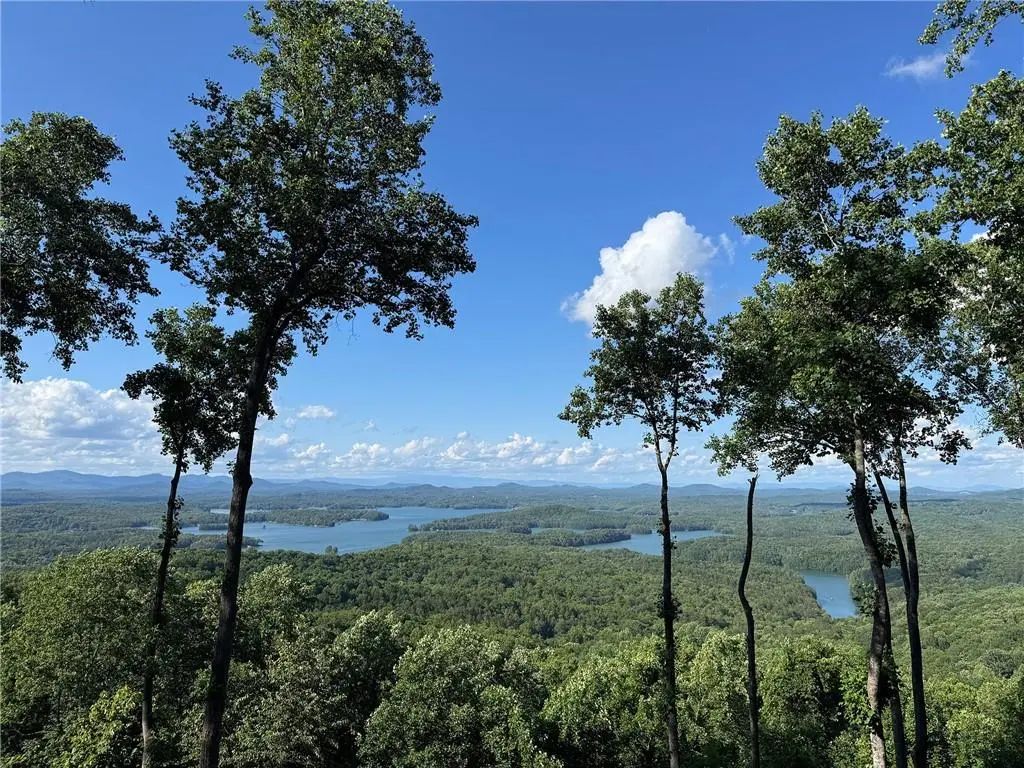 970 Lakeview Drive, Blue Ridge