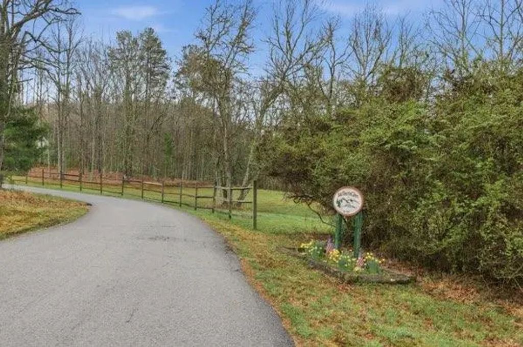 318 Wilmot Fabus Mountain Road, Blairsville