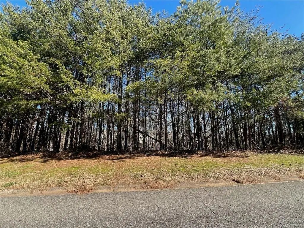 924 Whistler Lane, Canton