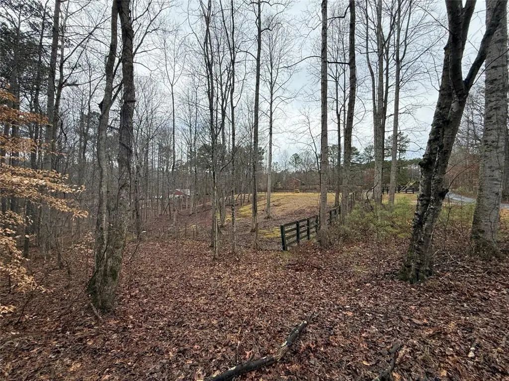 1666 Rock Springs Lane, Woodstock