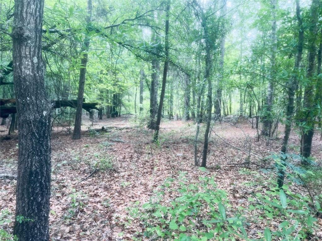 Photo of Listing #7575176