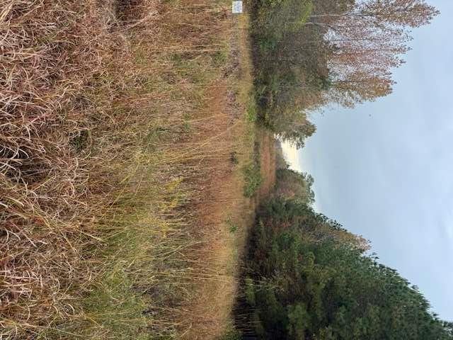 Photo of Listing #7676870