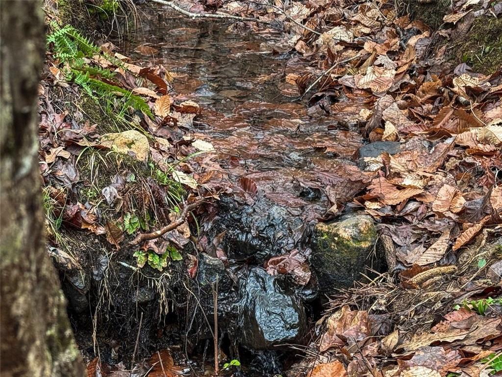 77 Observation Way, Dallas