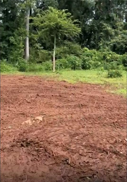 Photo of Listing #7721931