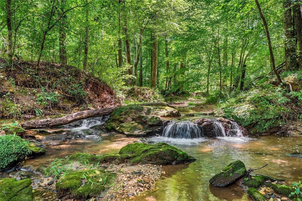 452 Blacks Mill Road, Dawsonville