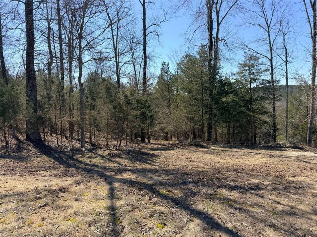 Photo of Listing #7723860