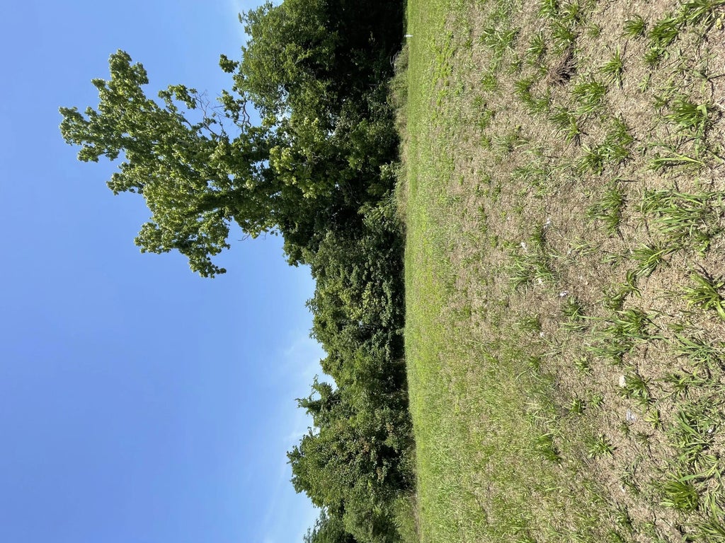 929 Hopkins Street, Augusta