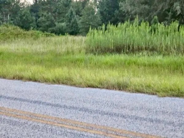 300 Home Tract Road, Waynesboro