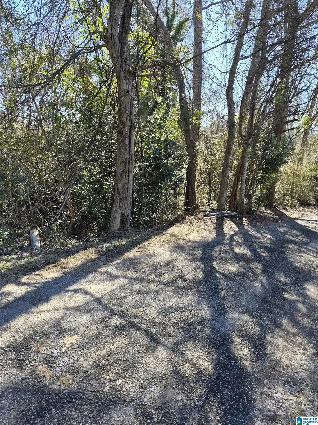 348 Happy Lane, BIRMINGHAM