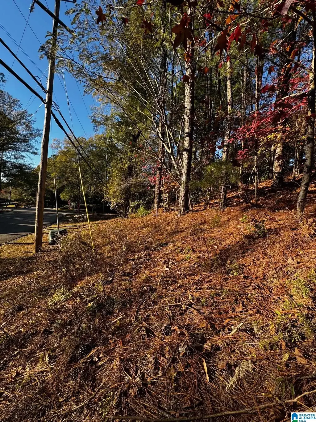 3724 Chestnut Ridge Lane, VESTAVIA HILLS