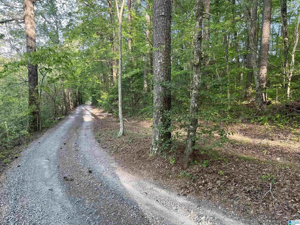6446 Trussville Clay Road, TRUSSVILLE
