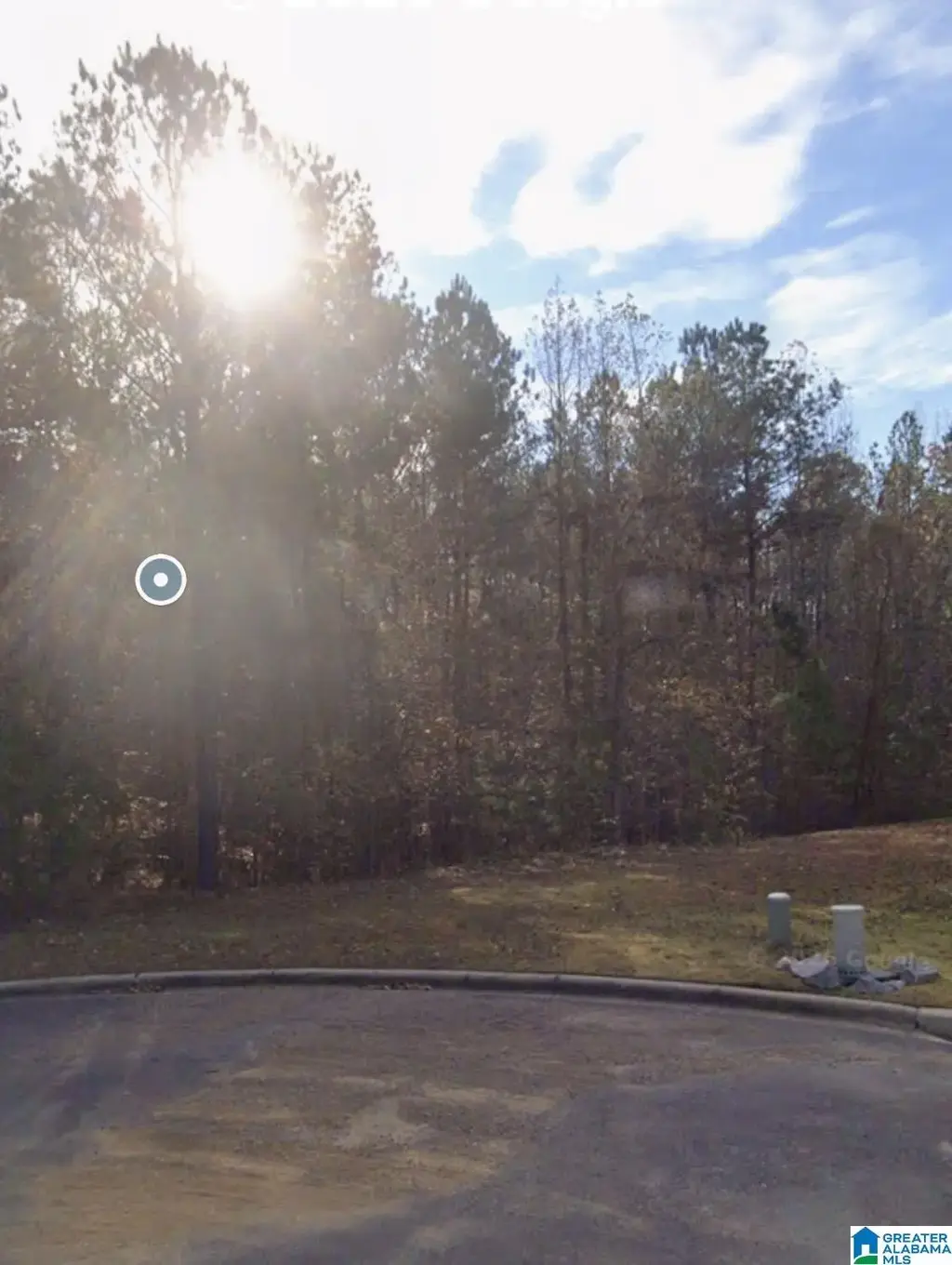7703 Deer Trail, TRUSSVILLE