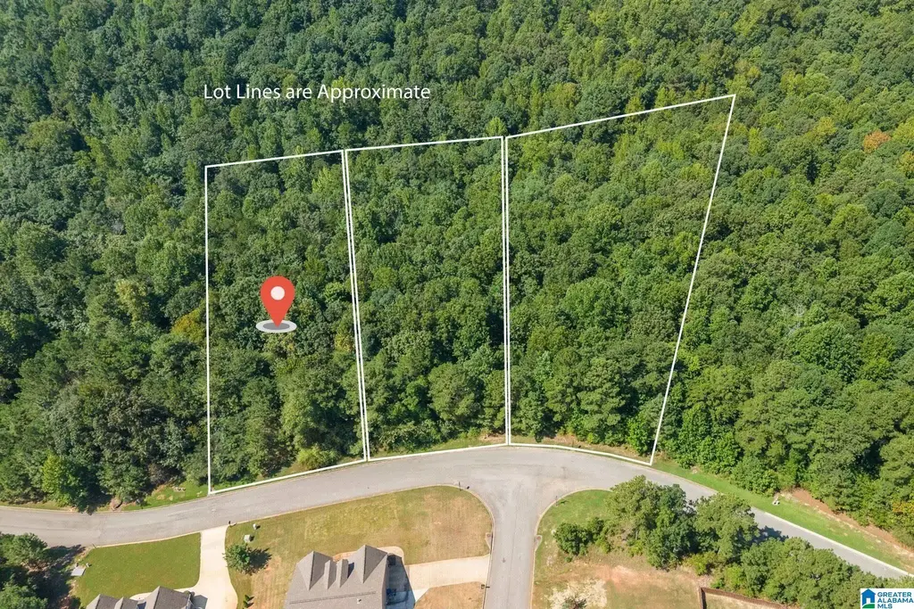 5534 Carrington Lake Parkway, TRUSSVILLE