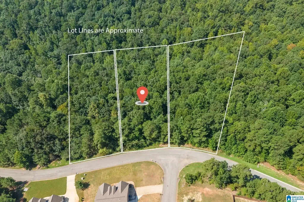 5538 Carrington Lake Parkway, TRUSSVILLE