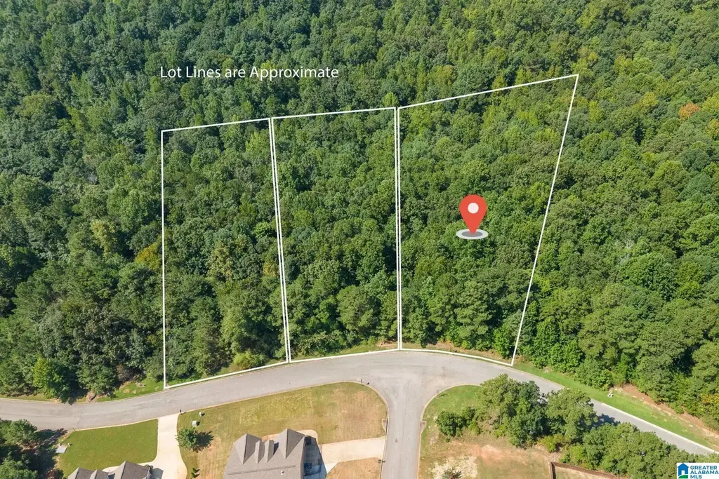 5542 Carrington Lake Parkway, TRUSSVILLE