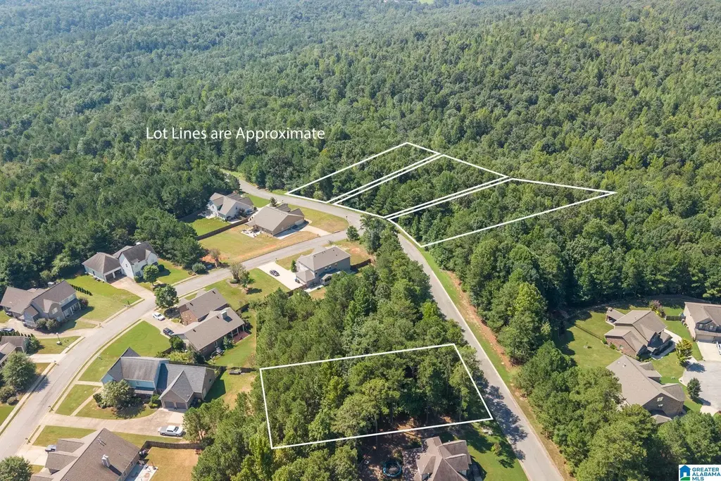 5551 Carrington Lake Parkway, TRUSSVILLE