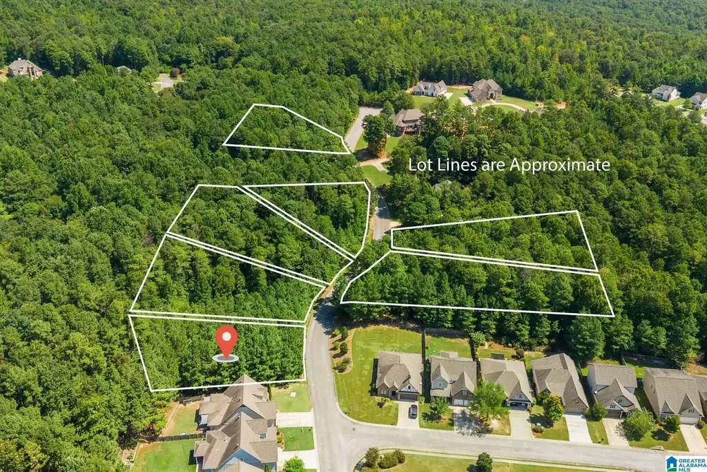 1060 Overlook Drive, TRUSSVILLE