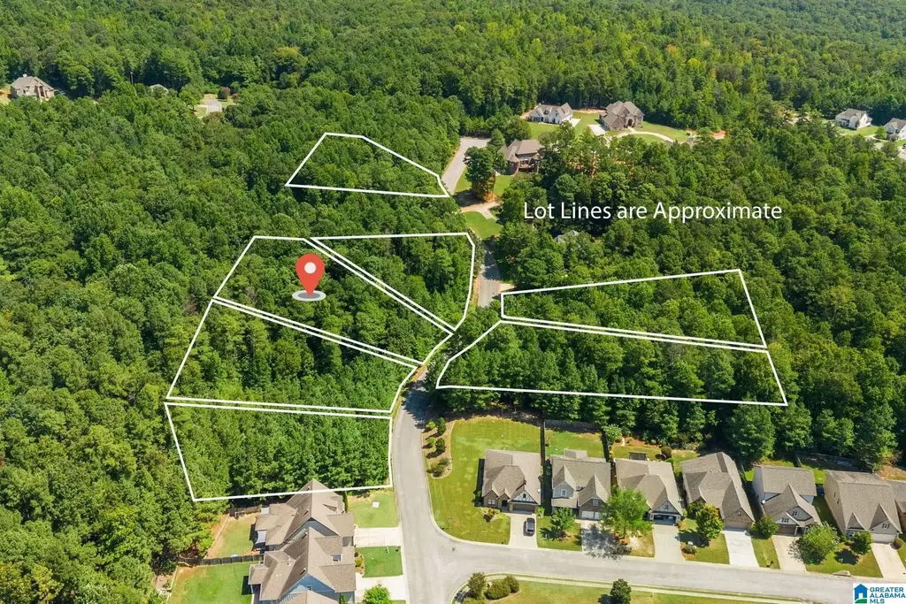1040 Overlook Drive, TRUSSVILLE