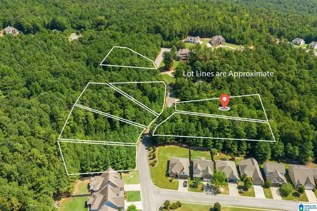 1035 Overlook Drive, TRUSSVILLE