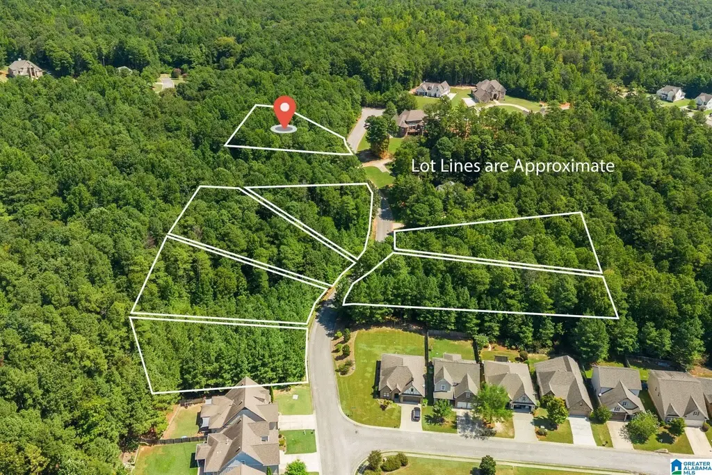 1010 Overlook Drive, TRUSSVILLE