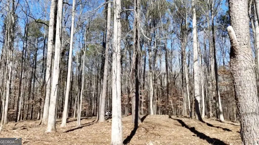 6155 (lot #1) Little Ridge Road Lot #1, Acworth