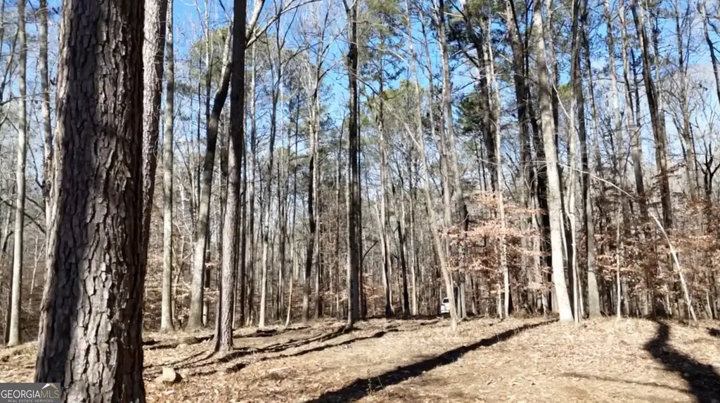 6137 Little Ridge Road Lot #3, Acworth