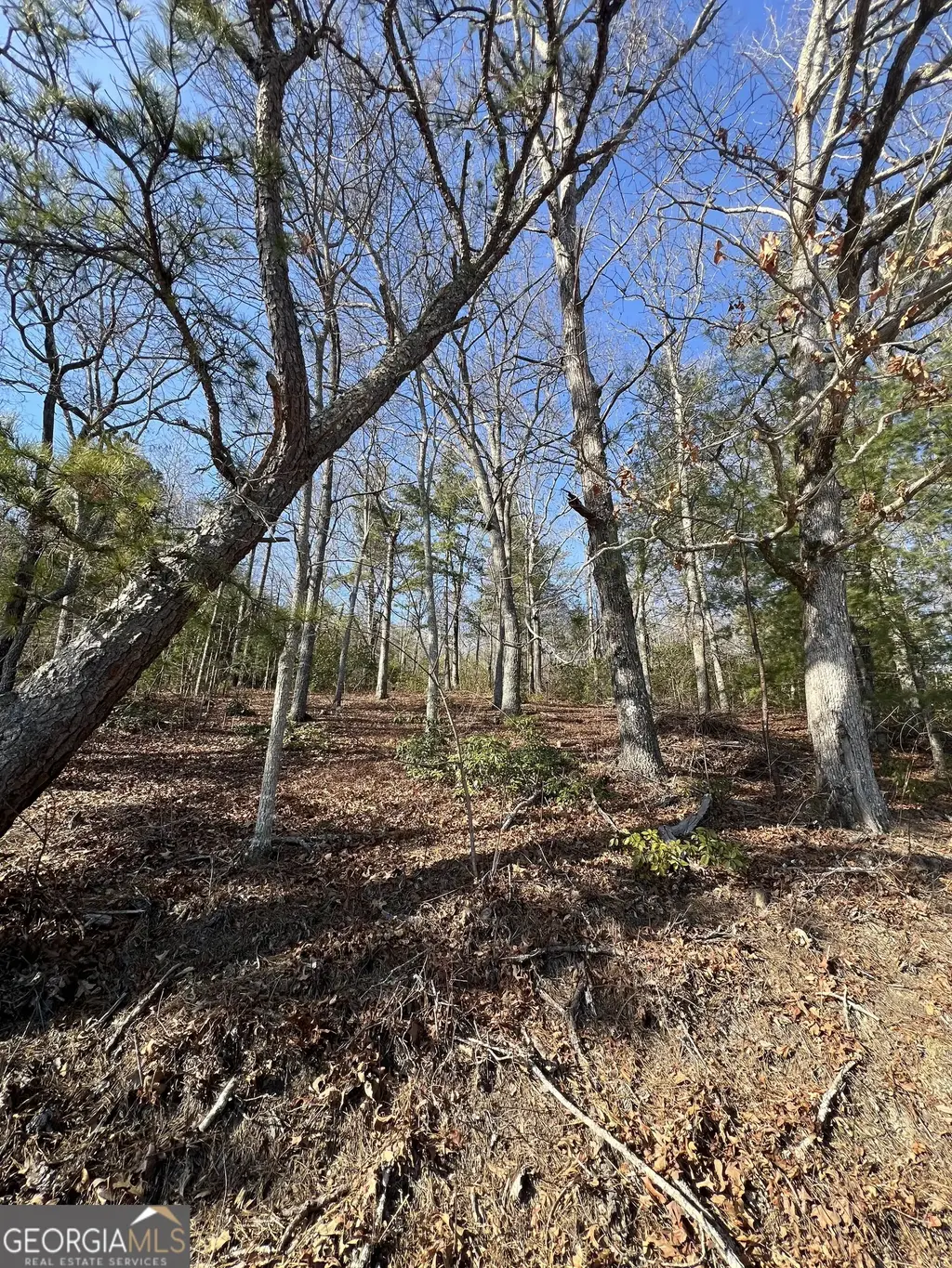 Edwards Way, Dillard