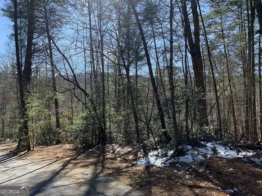 Pinecrest Road Ld6 Lot 34d, Sautee Nacoochee