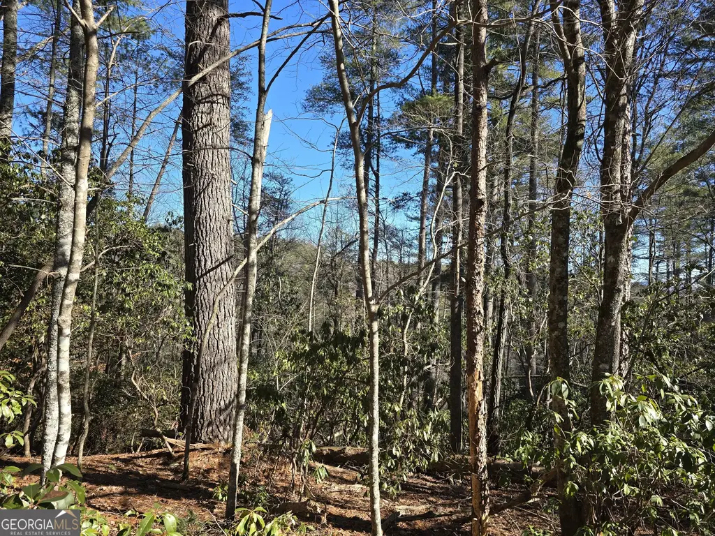 45k Blue Ridge, Sautee Nacoochee