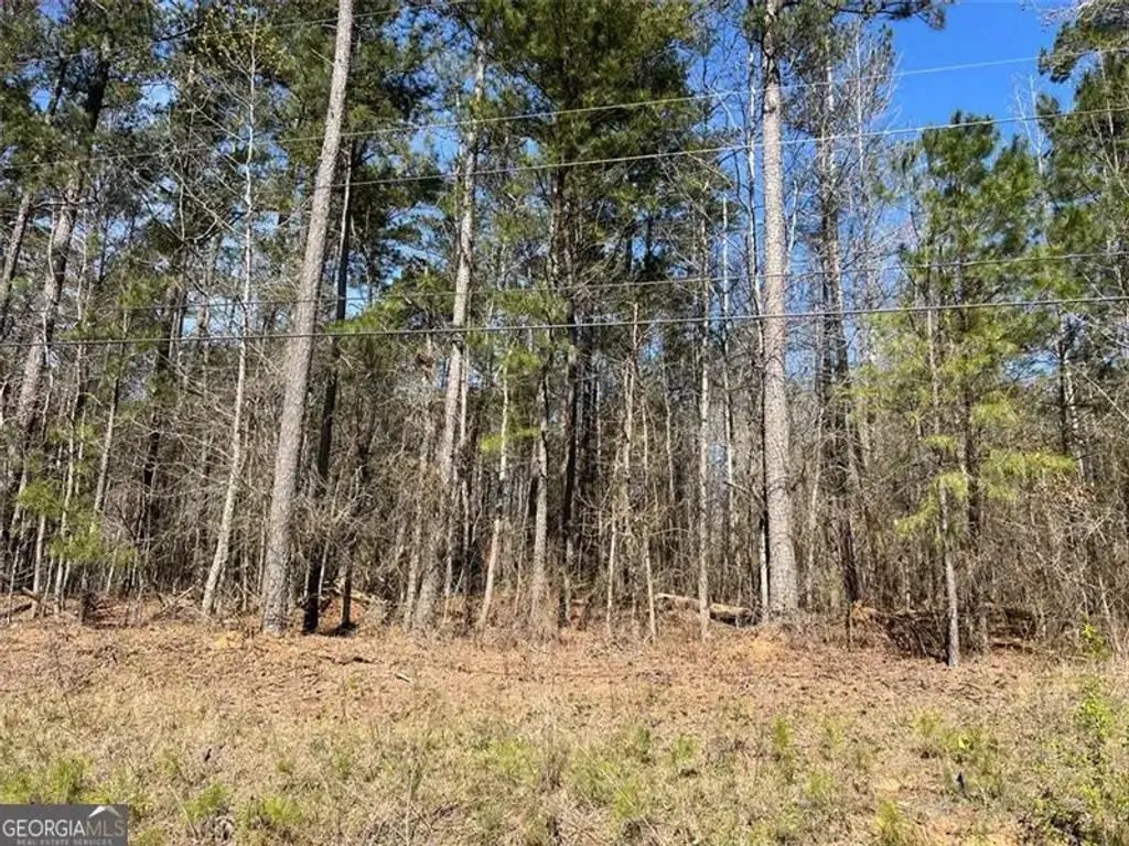 Jones, South Fulton