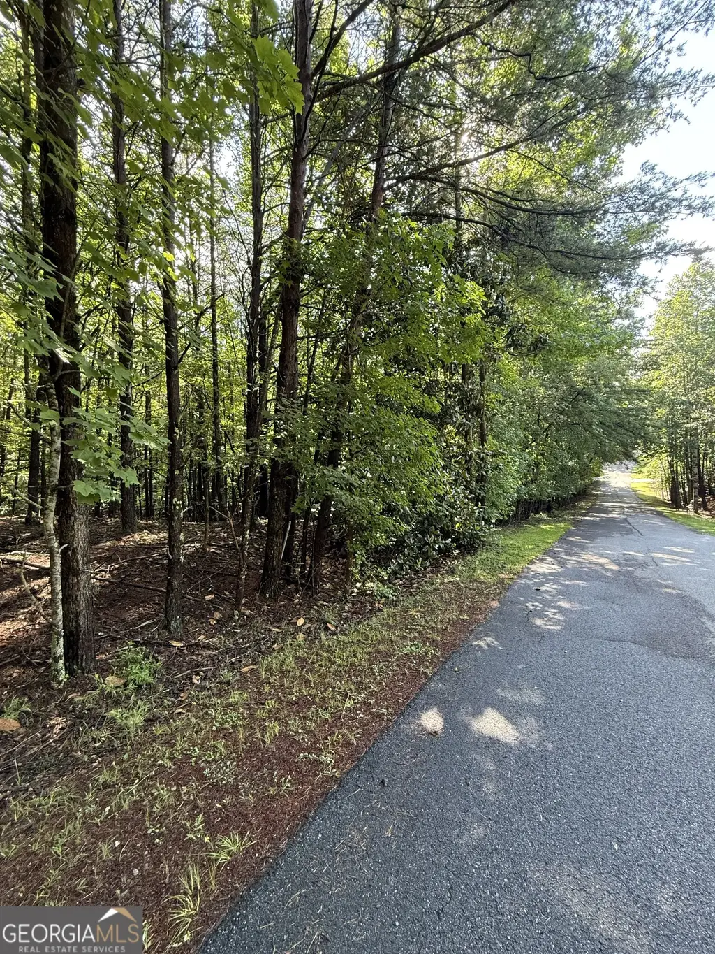 Lot 4 Marci Lane, Sautee Nacoochee