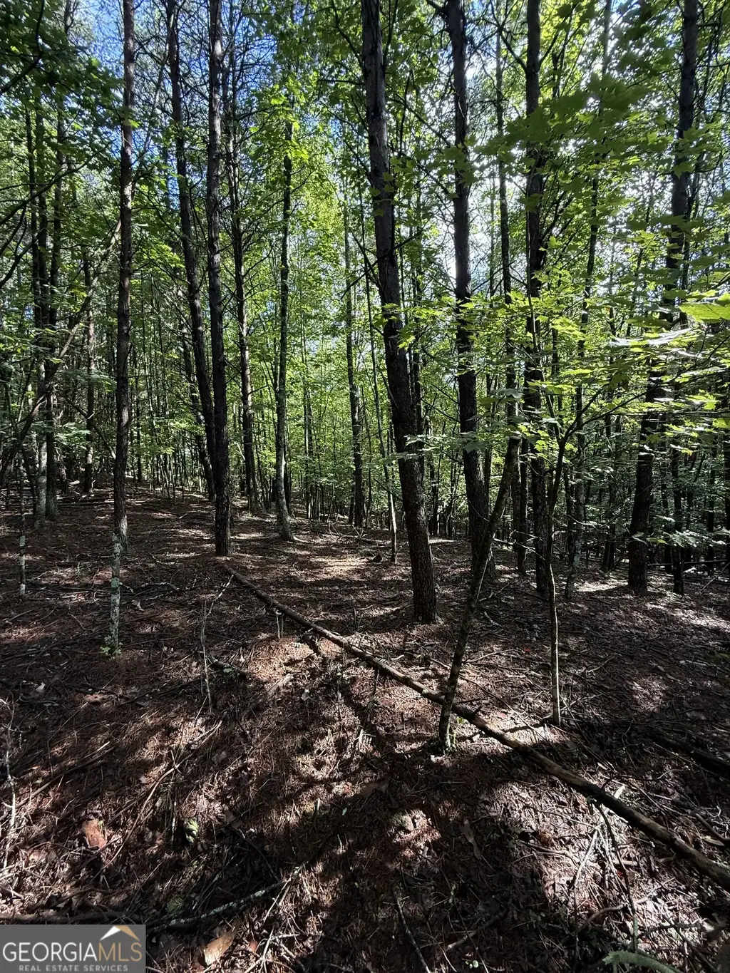 Lot 5 Marci Lane, Sautee Nacoochee
