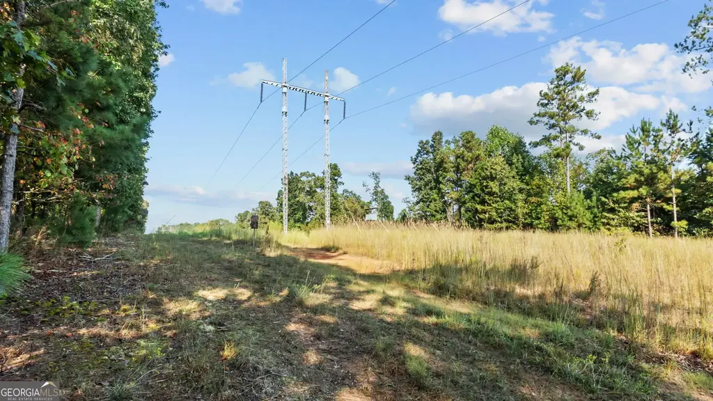 2987 Steele Road, Griffin