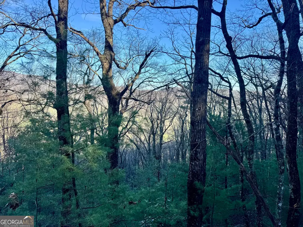 Mule Branch Road, Helen