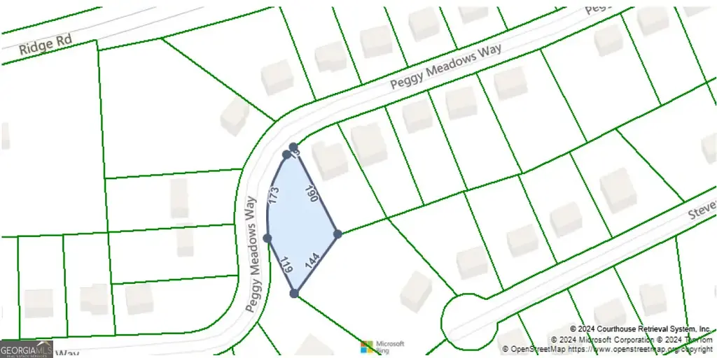 209 Peggy Meadows Way, Douglasville