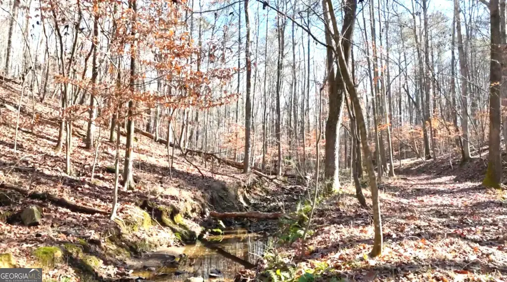 6147 Little Ridge Road Lot #2, Acworth