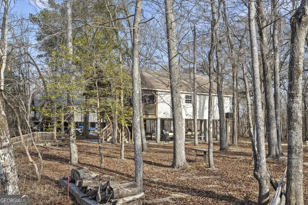 170 Brannen Landing Road, Midville