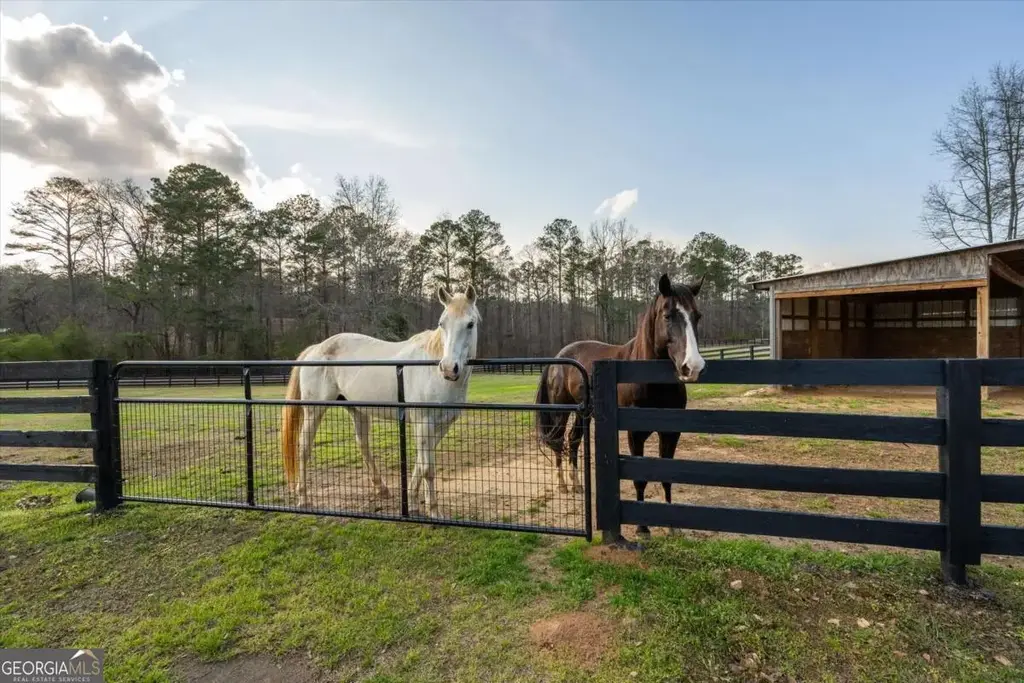 35 Saddleback Farms Drive, Newnan