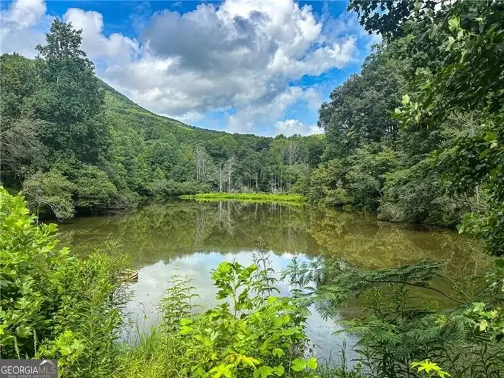 1565 Shoal Creek Road Nw, Clermont