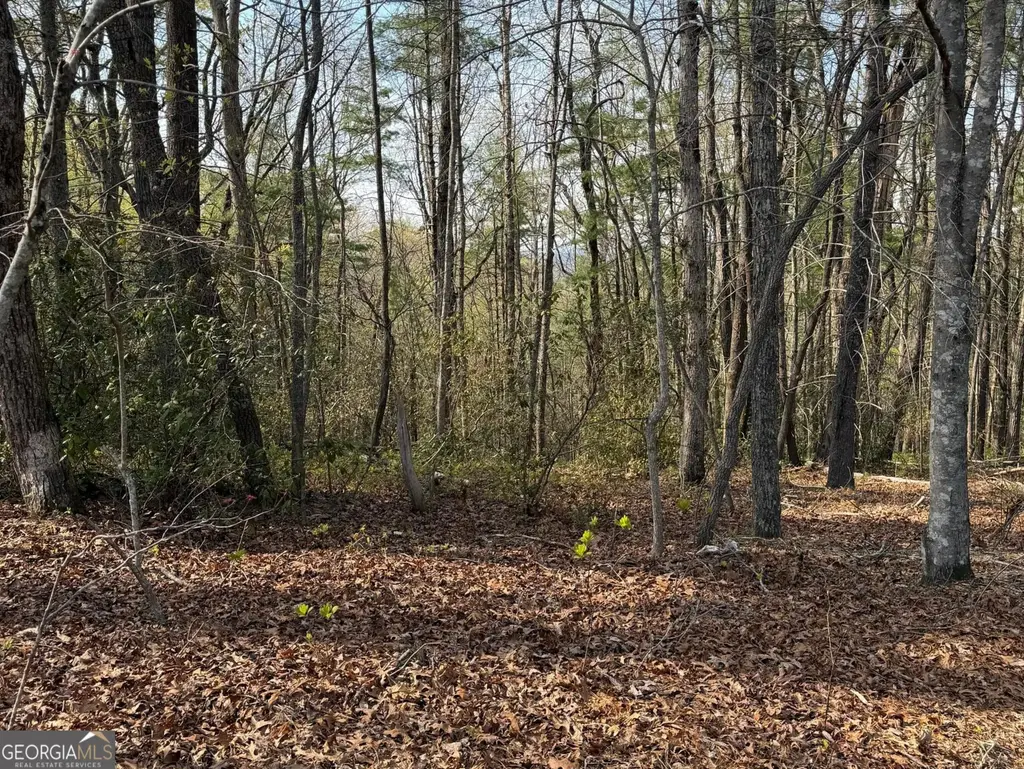 552 Long Laurel Ridge 6.65 Acres Lot 2, Lakemont