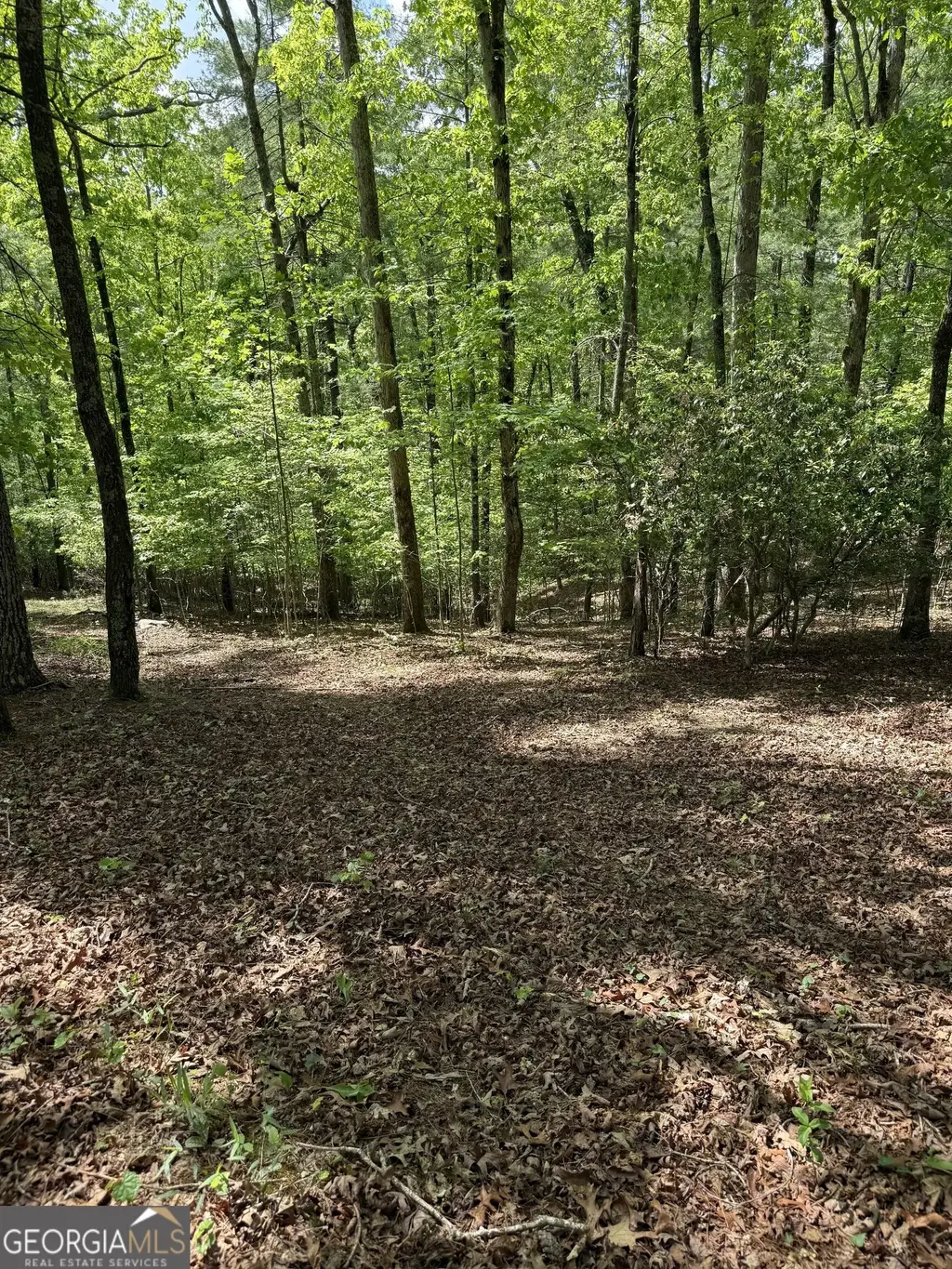 Mill Trace Court, Cleveland