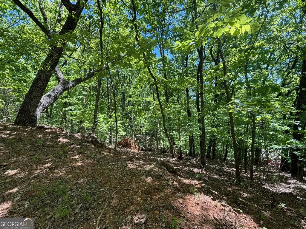 Lookout Ridge Road 11, Cleveland