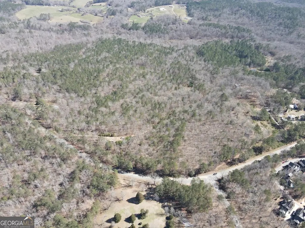 707 Atlanta Newnan Road, Palmetto