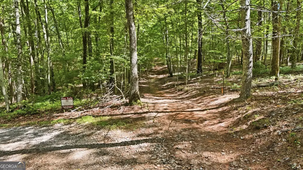 95 Black Bear Trail, Cleveland