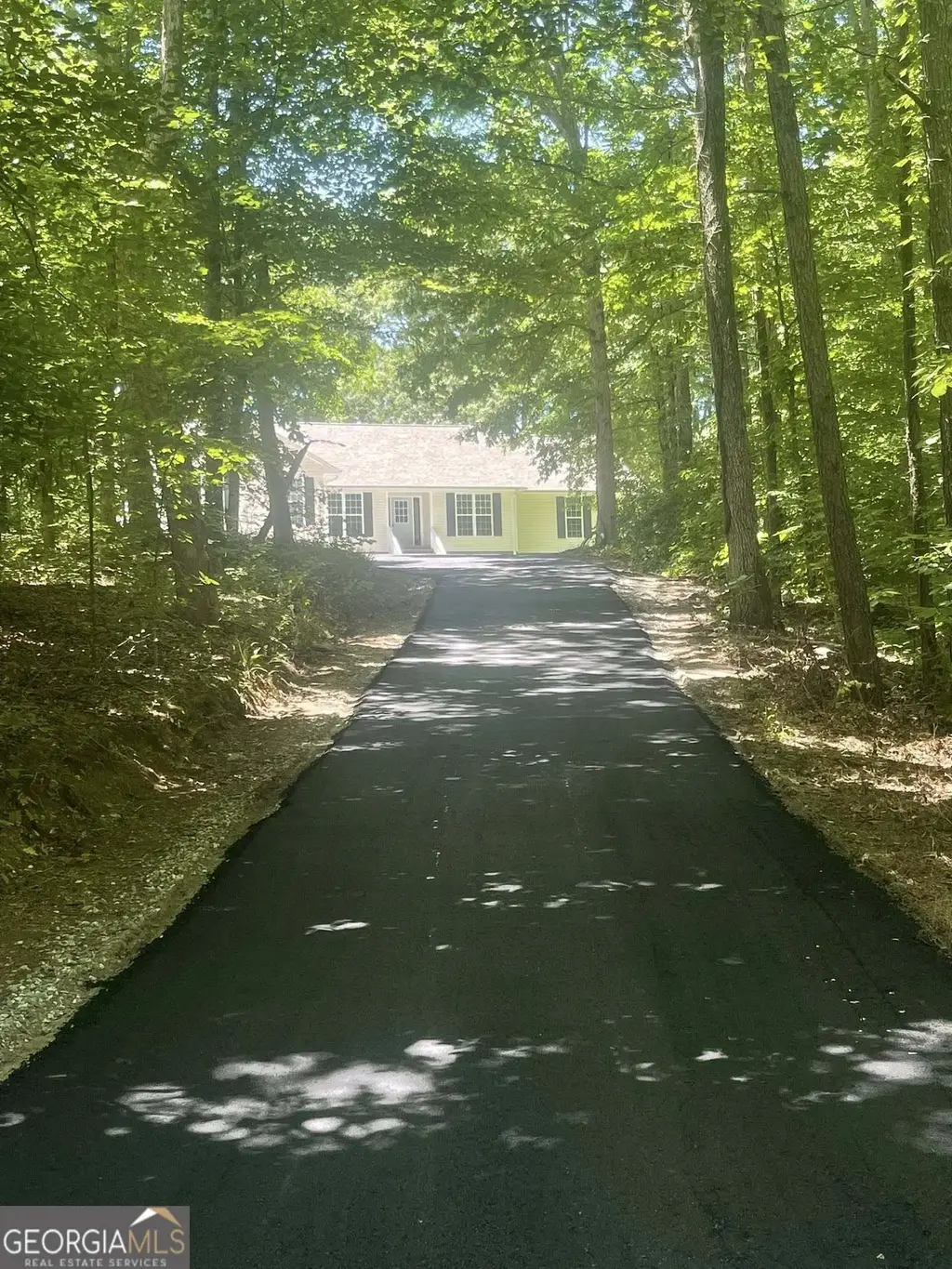 197 Blacks Mill Court, Dawsonville