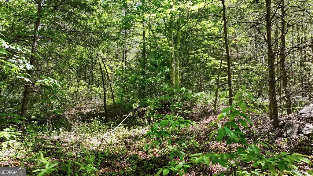 201 Spookhaven Lane, Clarkesville